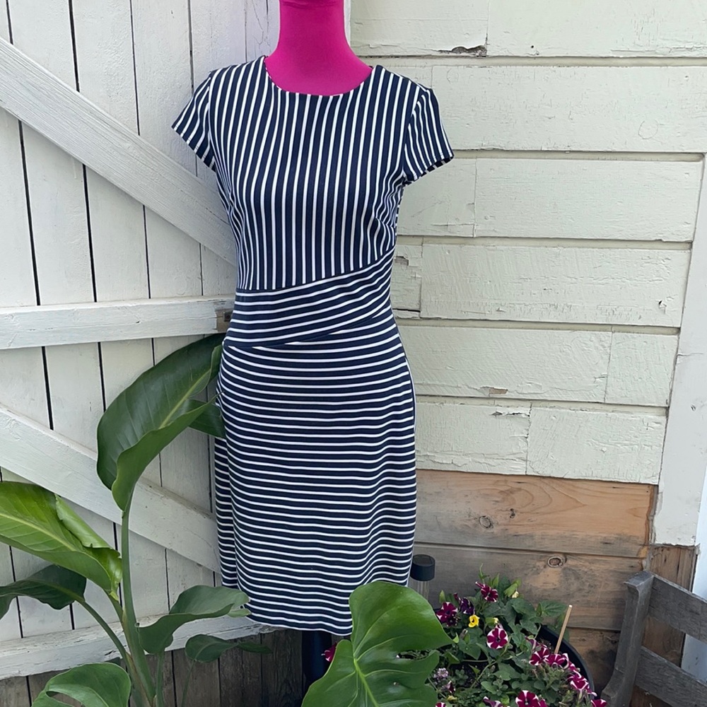 Banana Republic Dress
